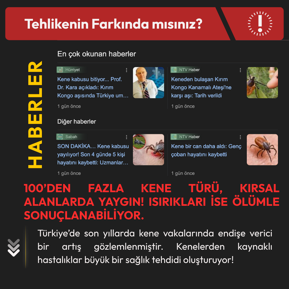 Kene ve Sivrisineklerle ilgili haberler basında yankılanıyor. Haber
